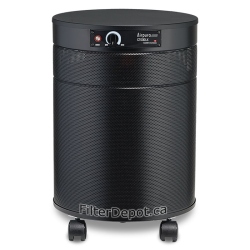 AirPura C700DLX Heavy Duty VOC Removal Air Purifier