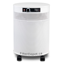 AirPura F700DLX Large Scale Formaldehyde Removal Air Purifier