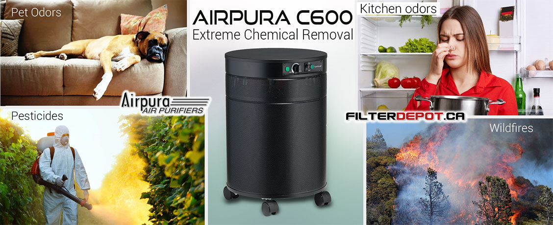 AirPura C600 Extreme Chemical Removal Air Purifier