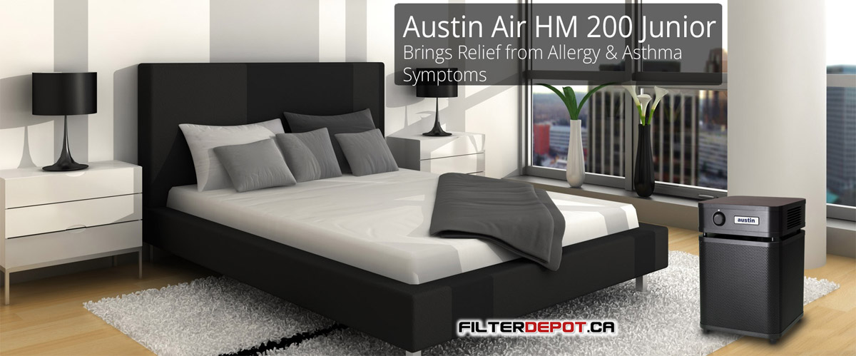 Austin Air HealthMate Junior room air purifierr